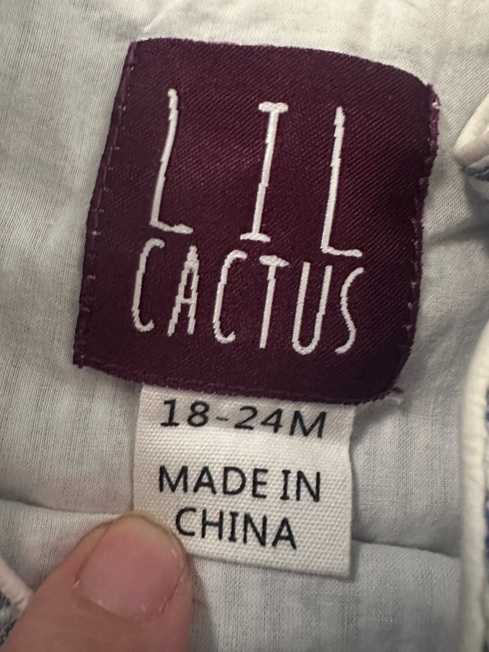 Lil Cactus lil cactus
